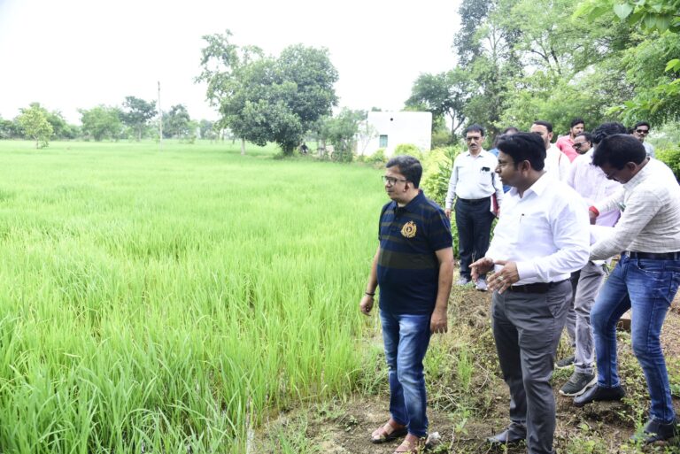 गिरदावरी-करने-खेत-में-उतरे-कलेक्टर-संजीव-झा-3.jpeg