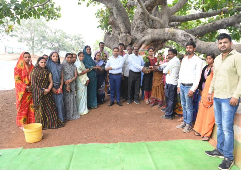 जिला-पंचायत-सीईओ-श्री-चौहान-ने-किया-पौधरोपण-2989639409917453577.jpg