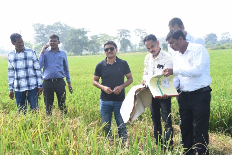 गिरदावरी-का-सत्यापन-करने-खेतों-में-उतरे-कलेक्टर-17.jpeg