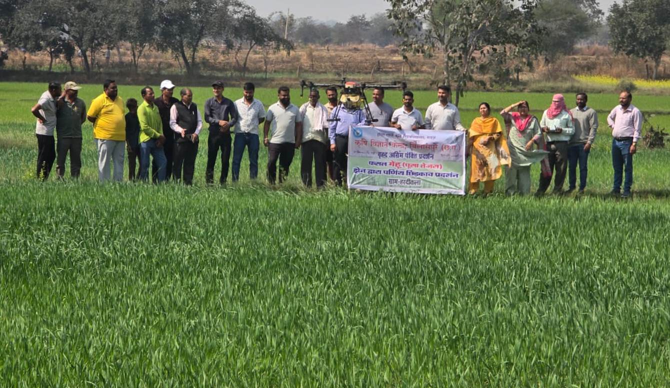 ग्राम हरदीकलाटोना में ड्रोन तकनीक से गेहूँ में उर्वरक छिड़काव का सफल प्रदर्शन, कृषि विज्ञान केन्द्र, बिलासपुर की पहल      रबी 2026 में ‘पूसा तेजस’ गेहूँ का अग्रिम पंक्ति प्रदर्शन, 25 एकड़ में 23 किसानों को उन्नत तकनीक का प्रशिक्षण